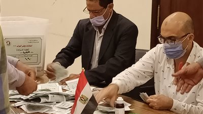 بدء فرز أصوات الناخبين في انتخابات مجلس النواب بالبحيرة (صور)
