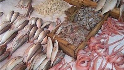 البلطي يتراجع .. تعرف علي أسعار الأسماك اليوم الأحد 1-11-2020