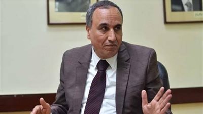 عبد المحسن سلامة: نتوقع إقبال كبير في انتخابات مجلس النواب (فيديو)