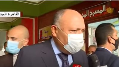 وزير الخارجية بعد التصويت في الانتخابات: المشاركة واجب وطني (فيديو)