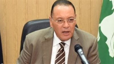 محافظ الشرقية: نسب المشاركة في اليوم الأول لانتخابات النواب وصلت إلى 15% (فيديو)