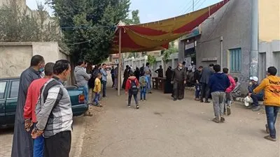 انتظام فتح اللجان الانتخابية لليوم الثاني على التوالي في الدقهلية 