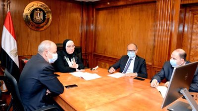 نيفين جامع: ارتفاع حجم التبادل التجاري مع دول الكوميسا إلى 3.9 مليار دولار