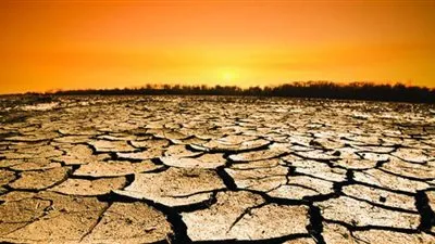 الزراعة: سلوك المواطن اليومي له علاقة بالاحتباس الحراري (فيديو)