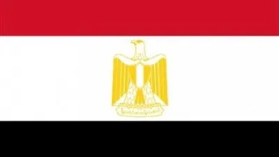 عاجل.. أول تعليق لمصر على سقوط مروحية تابعة للقوات متعددة الجنسيات