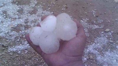 محافظ الدقهلية: تعطيل الدراسة غدا في هذه الحالة (فيديو)