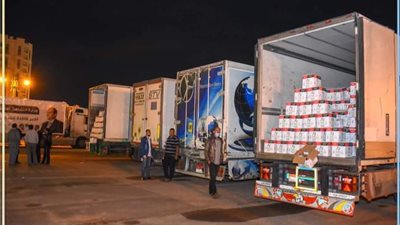 وصول أكبر قافلة إنسانية لدعم الأسر الأولى بالرعاية في الإسكندرية (صور)