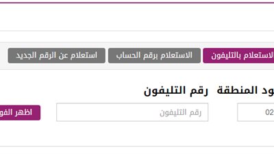 رابط المصرية للاتصالات.. اضغط هنا للاستعلام عن فاتورة التليفون الأرضي لشهر نوفمبر 2020