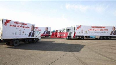 بعد احتفال الدول العربية.. تعرف على الألقاب التي حققها صندوق تحيا مصر في جينيس