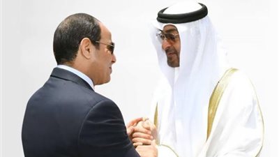 كيف سلط الإعلام العربي الضوء على زيارة بن زايد لمصر؟