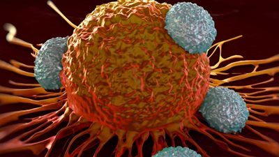 أماكن تجنبها مع الموجة الثانية لكورونا .. نصائح هامة