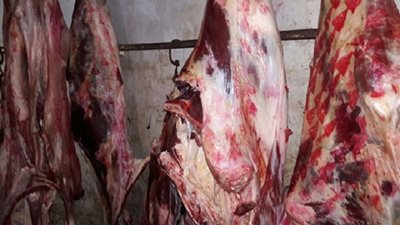 ضبط 150 كيلو لحوم مختومة بخاتم مزور في حملة تموينية ببني سويف