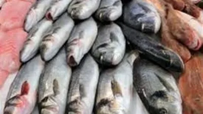 أسعار الاسماك في مصر اليوم الخميس 7-1-2020