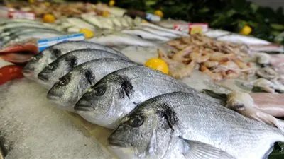 أسعار الأسماك اليوم الجمعة 15-1-2021 في مصر.. 