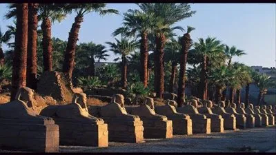 30 يناير.. الحكم في دعوى وقف نقل تماثيل الكباش من معابد الكرنك لتزيين ميدان التحرير