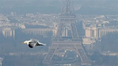 فرنسا.. حريق متعمد في مركز لاحتجاز المهاجرين المخالفين