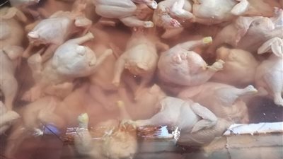 ضبط طن دواجن غير صالحة للإستهلاك بمدينة قنا