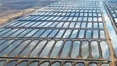 برلماني: مشروع الفيروز يوفر 10 آلاف فرصة عمل (فيديو)