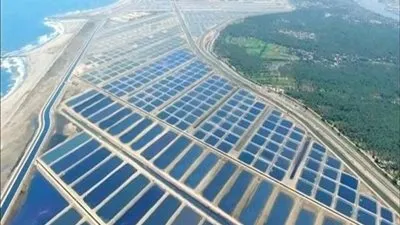 خبير اقتصادي: مصر تواجه زيادة سكانية مفرطة.. نحن أمام مصيبة (فيديو)