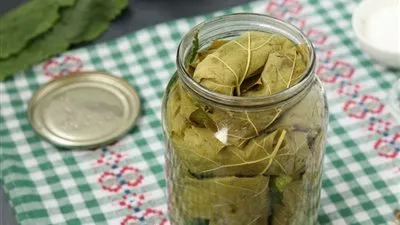 3 طرق سهلة وبسيطة لتخزين ورق العنب.. اكتشفيها