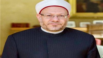 المفتي: تنظيم الأسرة والتماس الوسائل الطبية للإنجاب من الأمور المشروعة (فيديو)