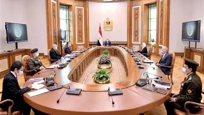 السيسي يصدر توجيهات جديدة بشأن صناعة مشتقات البلازما الدقيقة