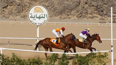 فروسية نجران تقيم سباقها الرابع عشر للموسم الحالي