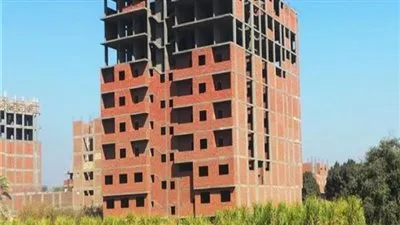 أستاذ تخطيط: تنمية الريف كانت الأولوية الغائبة حتى 2014