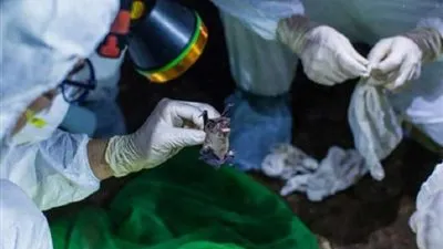 تحذير جديد من الصحة العالمية بشأن مرض 