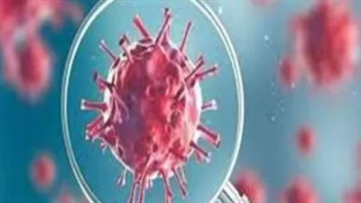 متحدث الوزراء يكشف تفاصيل الوضع الوبائي في مستشفيات العزل