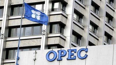 متوسط سعر سلة 