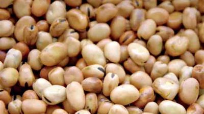 شعبة الحاصلات الزراعية: ارتفاع جديد في أسعار البقوليات قبل شهر رمضان