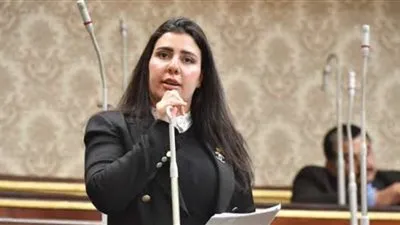 برلمانية: أطباء مصر ضحوا بأرواحهم من أجل الشعب