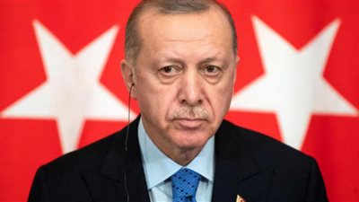 القمع والاعتقال.. طريقة نظام أردوغان ضد المعارضة والحقوقيين