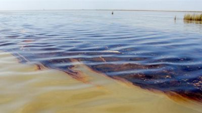 10 إضرار تهدد البيئة البحرية في مصر