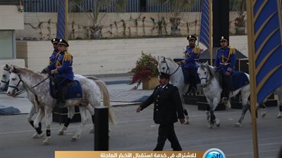 عجلات حربية وخيول في موكب المومياوات الملكية (صور)