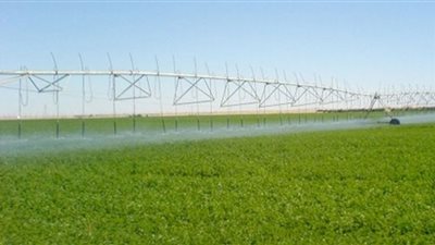 نقيب الزراعيين: مصر بالمرتبة الـ 47 عالميًا في توفير الأمن الغذائي