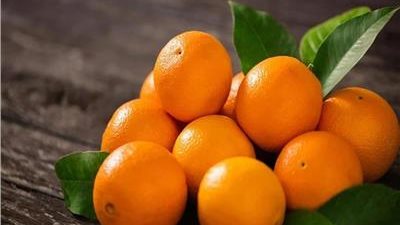 بعد وصول أول شحنة من البرتقال لليابان.. جمعية الزراعيين: 