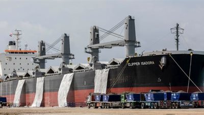 مميش: قناة السويس أثبتت أنها شريان الحياة للاقتصاد العالمي (فيديو)