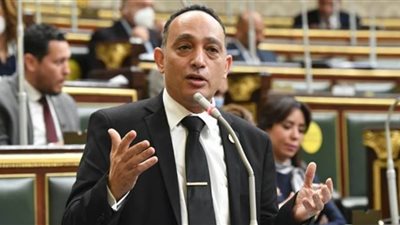 نظرا لمشاكل المنظومة.. برلماني يتقدم بأول بيان عاجل بشأن مد مهلة الإقرارات الضريبية