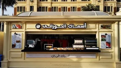 خبيرة آثار عن أكشاك قصر عابدين: مشهد مزعج لا يليق 