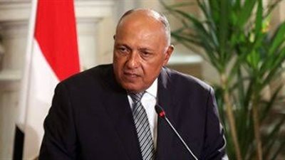 إجراءات مهمة وتحرك دولي.. 6 رسائل جديدة من وزير الخارجية بشأن سد النهضة 