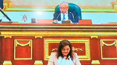وزيرة التخطيط: 7.1 تريليون جنيه الناتج الـمحلي الإجمالي بخطة العام المالي 2021/2022
