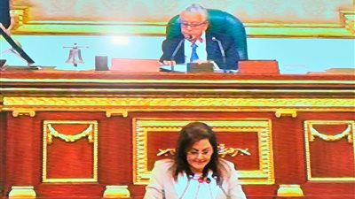 هالة السعيد: 176 مليار جنيه استثمارات كلية لقطاع الإسكان وخدمات المياه والصرف الصحي