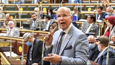 برلماني: ذكرى تحرير سيناء تمثل فخرا للشعب المصري