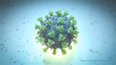 عاجل.. حصيلة وفيات قياسية في الهند بسبب فيروس كورونا