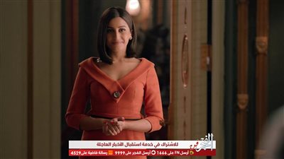 دينا الشربيني شقيقة أحد أبناء السيوفي في 