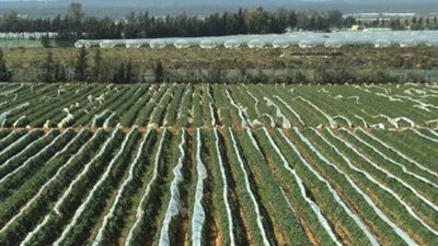 تقرير دولي: 20 مليون شخص واجهوا أزمات غذاء في 2020