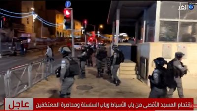 شاهد.. مواجهات بين قوات الاحتلال والفلسطينيين في باب العامود