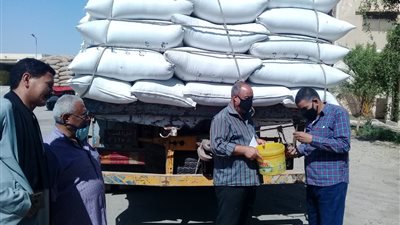 الزراعة تتابع استلام تقاوى خام المحاصيل الشتوية في 14 محطة على مستوي الجمهورية مستوى